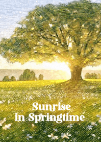 Sunrise in Springtime