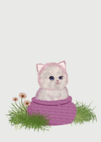 สัตว์ : แมว v2