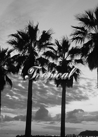 ☆心身が癒されるトロピカルなヤシの風景♪