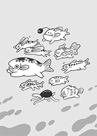 Mr. Spring- Sea Fish