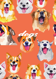 Cheerful big dogs on red & yellow