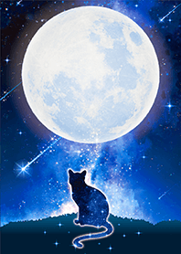Bring good luck Full moon & Cat*