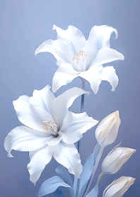 elegant lilies