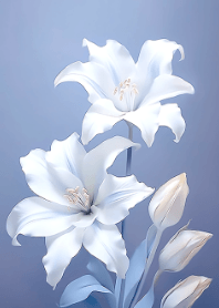 優雅的百合花