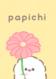 うきうき春のぱぴち