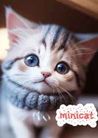 Minimini cat