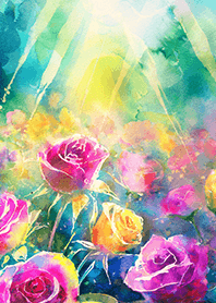 Beautiful rose flower(R2232)