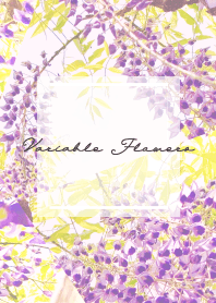 Variable Flowers  -fuji-