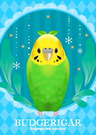 Budgerigar with mini plant