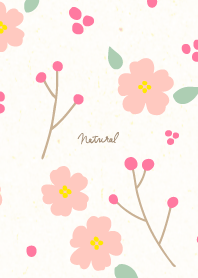 Flower fruit Pretty17 from Japan