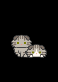 BT Fold Cat*darkmode*long-haired*