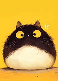 โง่ ๆ ของชินชิล่า❤สีดํา