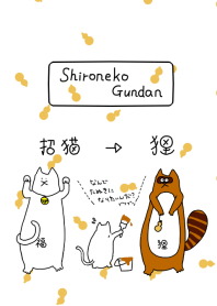 Shironeko Gundan -want to be a Raccoon-