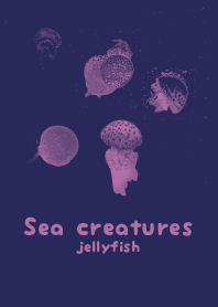 Sea crt Purple navy