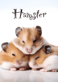 "Hamster vol.3" theme