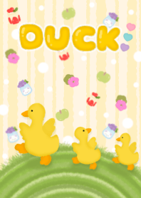 Duck duck 6