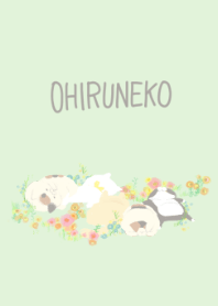 ohiruneko