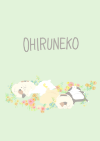 OHIRUNEKO
