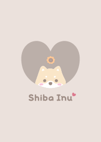 柴犬2 向日葵 [淺褐色的]