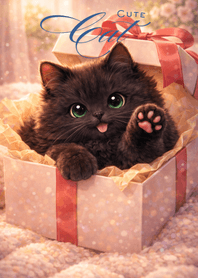 Surprise Black Cat Gift Box