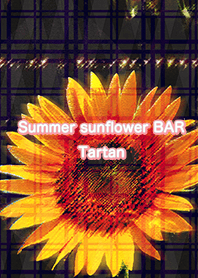 Summer sunflower BAR Tartan