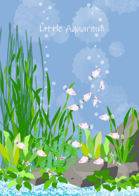 Little Aquarium #4