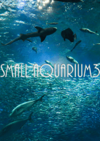 small aquarium3