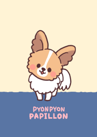 fluffy papillon dog