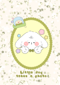 Little dog takes a photo