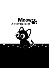 Little lucky black cat