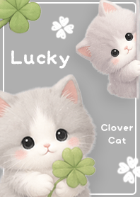 Gray Happy fluffy kitten