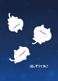 cat in the starry sky