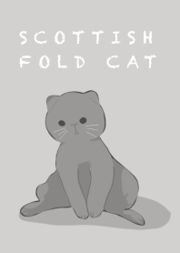 Scottish fold cat