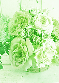 theme【flower】green