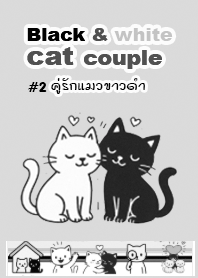 Black and white cat couple2