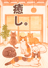 療癒生活-房間的小貓咪們2.4褐色凱瑞精選集