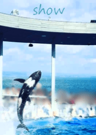 show