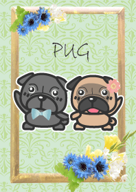 PUG spring ver.