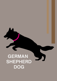 German shepherd.