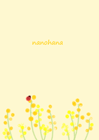 ぽんぽん菜の花と小さなテントウムシ