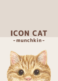 ICON CAT - Munchkin - BROWN/01