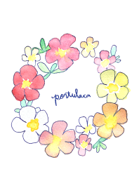 Portulaca flower theme. watercolor