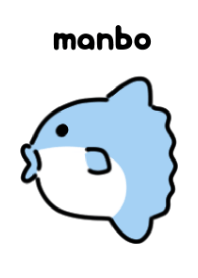 翻車魚1