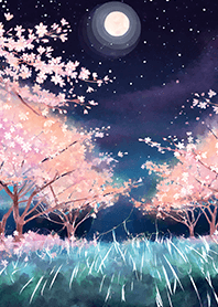 Beautiful night cherry blossoms#621