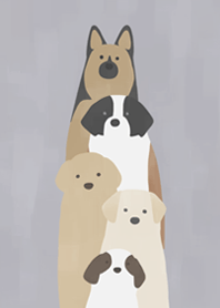Order dog - rescue
