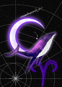 鲸鱼和白羊座-紫色-