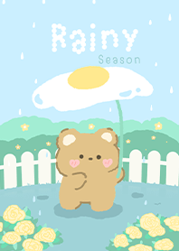Cody Rainy season