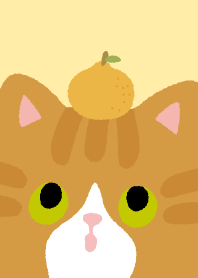 Lucky Orange Cats_White/Yellow