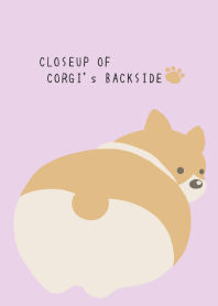 CLOSEUP OF CORGI's BACKSIDE-LIGHT PURPLE