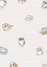 neko combo4 / light beige